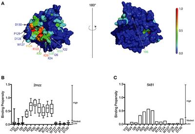 Structural Determinants of the APOBEC3G N-Terminal Domain for <mark class="highlighted">HIV-1 RNA</mark> Association